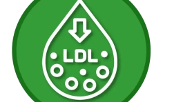 ICONOS WEB_LDL