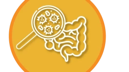 ICONOS WEB_SIBO