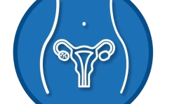 ICONOS WEB_SOP