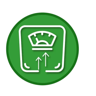 ICONOS WEB_aumento (1)