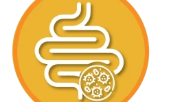 ICONOS WEB_candidiasis