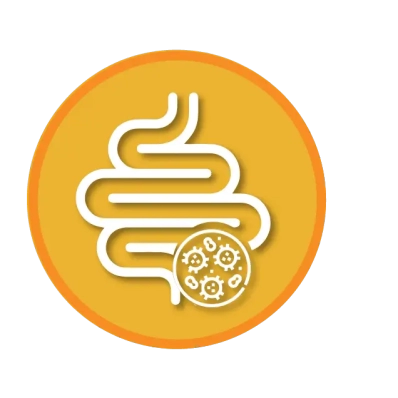 ICONOS WEB_candidiasis