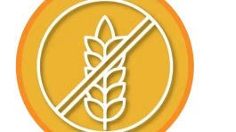 ICONOS WEB_celi