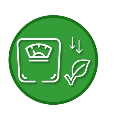 ICONOS WEB_descenso veggie (2)