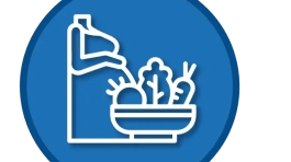 ICONOS WEB_embarazo