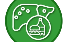 ICONOS WEB_higado graso