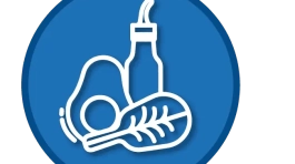 ICONOS WEB_keto (1)