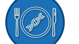 ICONOS WEB_preci