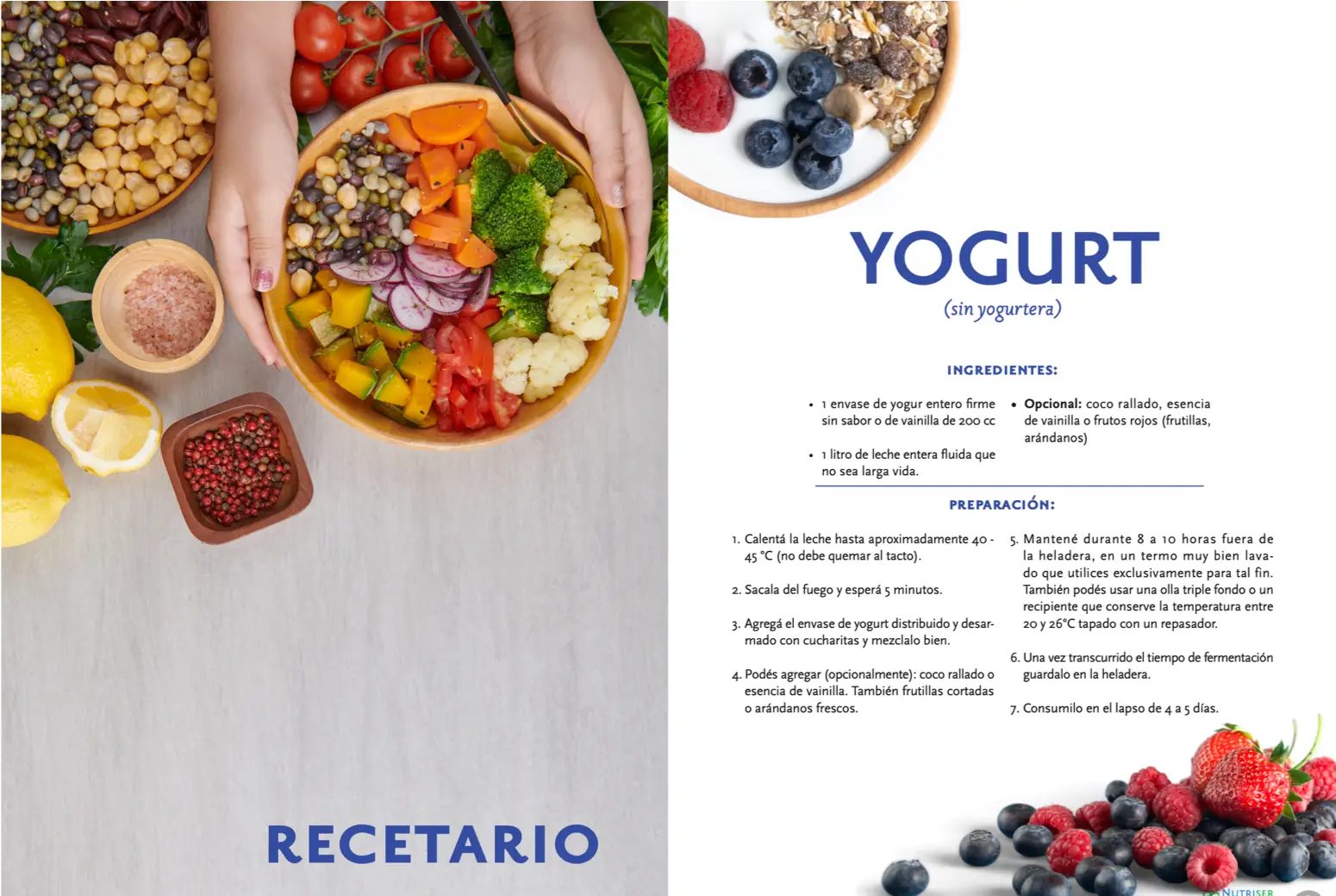 recetas vegetarianas