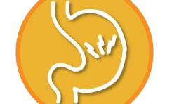 ICONOS WEB_gastritis