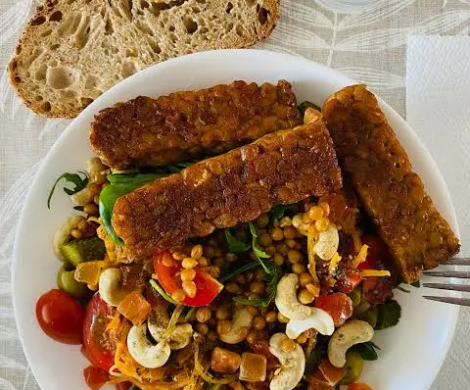 tempeh-de-lentejas